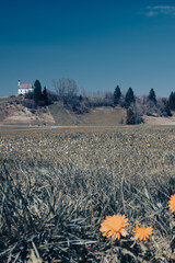 landscape in the mountains with church