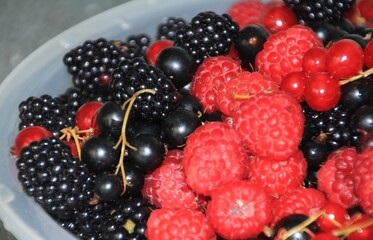 Delicious amazing blackberries and raspberries