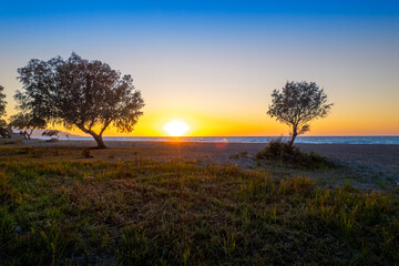 Sunset View Over the Beach With Silhouetted Trees Near the Shore at Golden Hour