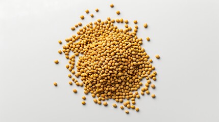 soybean seed on white background with copy space, top view