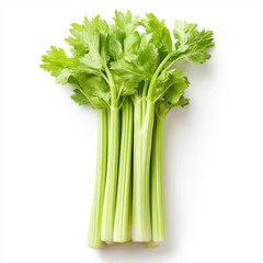 Celery on a white background