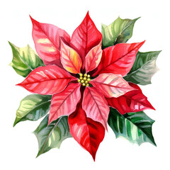 Artistic representation of Poinsettia painted in watercolor on white background, featuring rich reds and deep greens, perfect for holiday cards and seasonal artwork