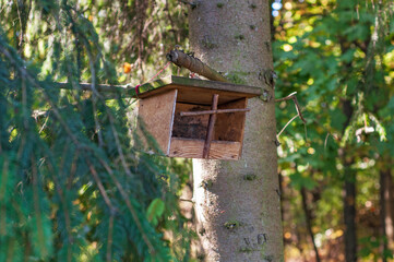 Wooden feeder  at the green forest .