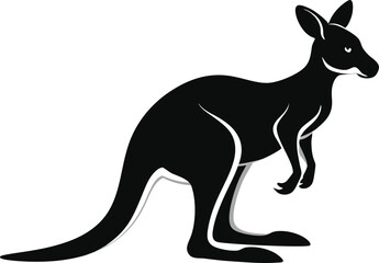 kangaroo illustration vector 