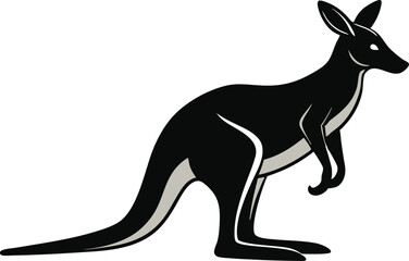 kangaroo illustration vector 