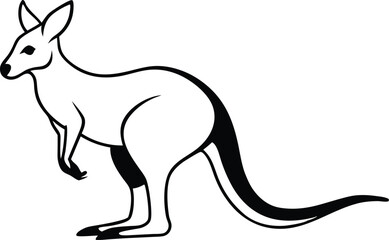 kangaroo illustration
