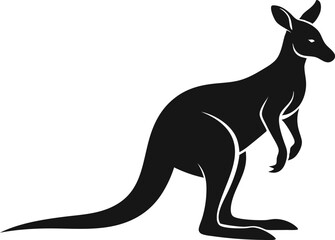 kangaroo illustration