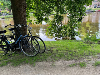Fototapeta premium Bicycles parked at tree near canal outdoors