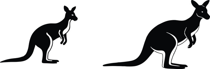 kangaroo illustration vector 