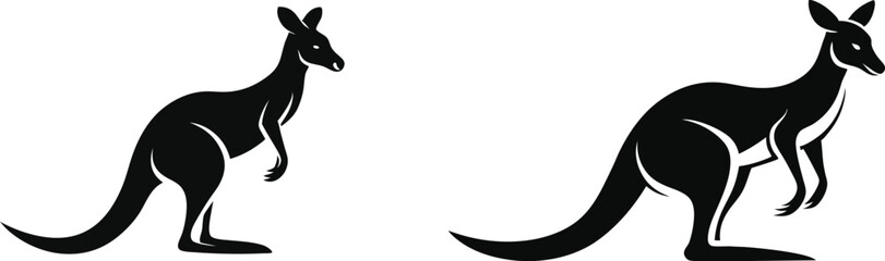 kangaroo illustration vector 