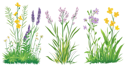 Set of Wild Grasses and Blooming Shrubs on a Transparent Background Generative AI