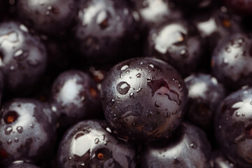 Wet acai berries as background, closeup view