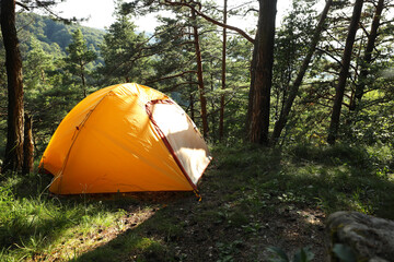 Modern camping tent in forest at summer, space for text