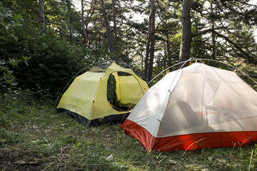 Modern camping tents in forest on sunny day