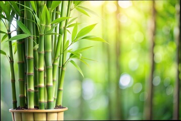 Obraz premium Closeup of a Bamboo Plant with Soft Blur Background