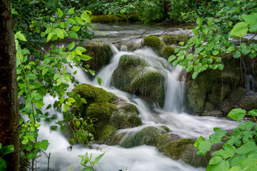 Langzeitbelichtung von Wasser in einem Fluss, dass um einen Stein mit grünem Moos fließt, im Vordergrund saftig grüne Blätter und Bäume aufgenommen im Krka Nationalpark in Kroatien