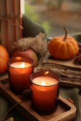 Burning candles, books and autumn decor on green sweater near window, closeup