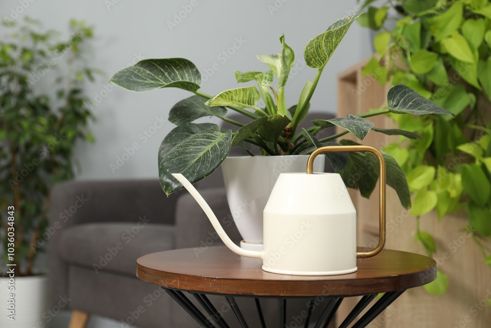 Sticker Watering can and beautiful houseplant on wooden table indoors