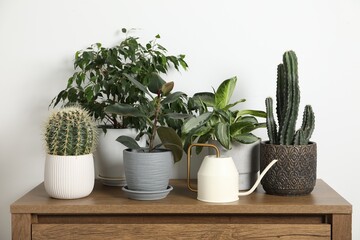 Watering can and beautiful houseplants on wooden chest of drawers indoors