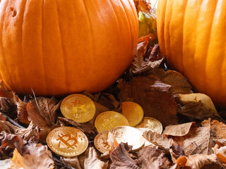 Bitcoin October Pumpkin Fall