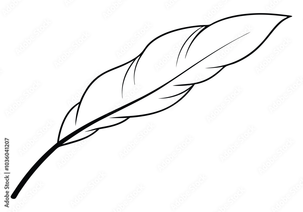 Fototapete continuous line art of a floating feather – elegant minimalist vector