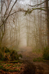 Obraz premium High-quality image with thoughtful composition and attention to detail. Perfect for use in design projects, web design, advertising campaigns, social media, or print materials. This photo is versatile