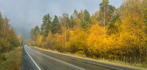 Naklejka premium A road with trees on both sides and a car driving down it