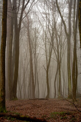 Naklejka premium High-quality image with thoughtful composition and attention to detail. Perfect for use in design projects, web design, advertising campaigns, social media, or print materials. This photo is versatile