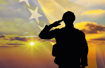 Silhouette of a soldier with a background of the Bosnia and Herzegovina flag and a sunset or sunrise. Concept of national holidays. Commemoration Day.