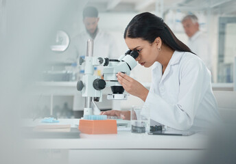 Scientist, woman and check with microscope in lab for disease experiment, medical study and dna...