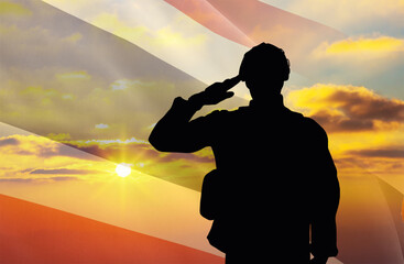 Silhouette of a soldier with a background of the Thailand flag and a sunset or sunrise. Concept of...