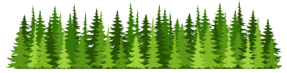 Forest fir trees silhouette. Coniferous spruce horizontal background.  © is1003