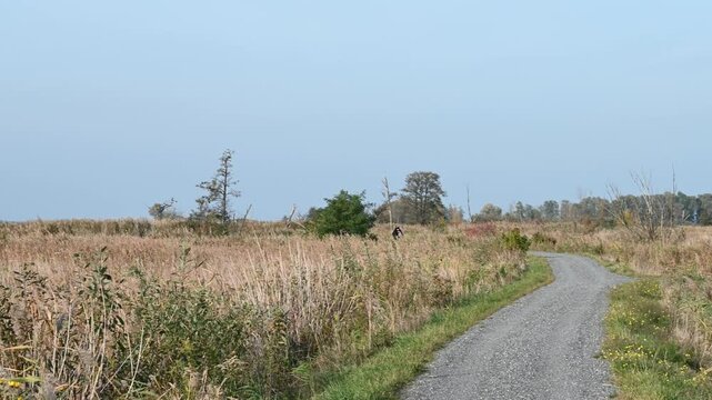 Rowerzysta na drodze wśr&oacute;d p&oacute;l, jesień.