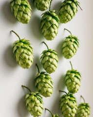 Fototapeta premium Freshly harvested hop cones for enhancing and flavoring the beer brewing process.