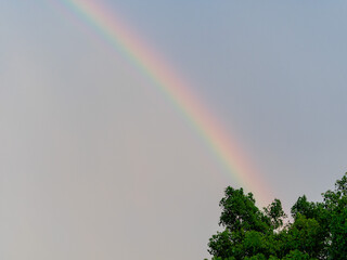 Sunset sky with beautiful rainbow and tree