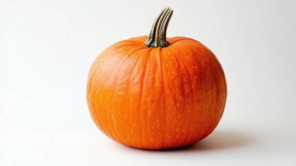 Obraz premium Orange musque de Provence pumpkin against a white backdrop