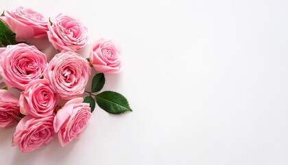 Fototapeta premium pink roses on a table