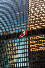 Canadian flag in front of Skyscraper in downtown Toronto