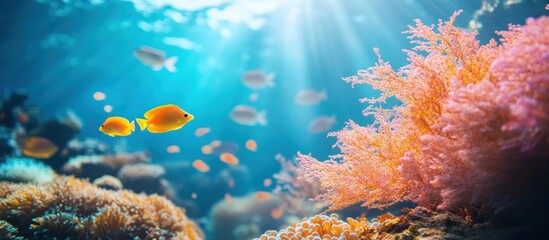 Underwater scene with coral reef and fish swimming in sunlight.