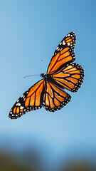 Fototapeta premium Monarch Butterfly Perched Against Blue Sky