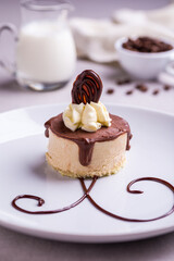 Elegant Dessert Plate with Chocolate Drizzle and Cream Garnish