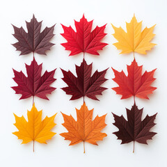 Fototapeta premium A vibrant display of fall colors as nine maple leaves arranged in a grid, showcasing shades of red, orange, and yellow.