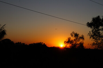 Un lindo atardecer único sobre unos árboles de fondo