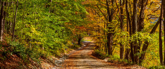 Panoramic view of scenic rural drive in Vermont during autumn time.