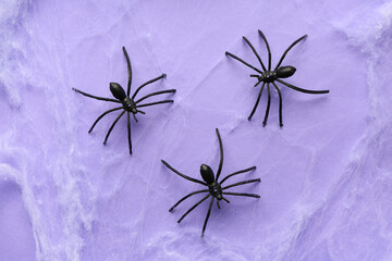 Cobweb with spiders for Halloween party on lilac background