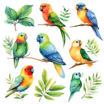set of parrots on branches, illustration