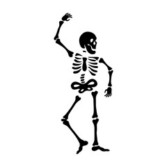 Skeleton clip art design on plain white transparent isolated background for card, shirt, hoodie, sweatshirt, apparel, card, tag, mug, icon, poster or badge