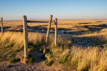 Obraz premium Sunrise landscapes at Red Rock Natural area in in the badlands of Southern Alberta.