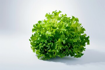 Obraz premium A fresh green leafy vegetable sits on a light surface. Concept of healthy eating and freshness. For healthy lifestyle promotions.
