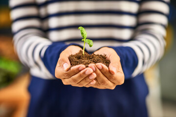 Growth, hands and plant with gardening person closeup for conservation, development or...